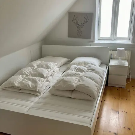 Apartment In With Free Parking